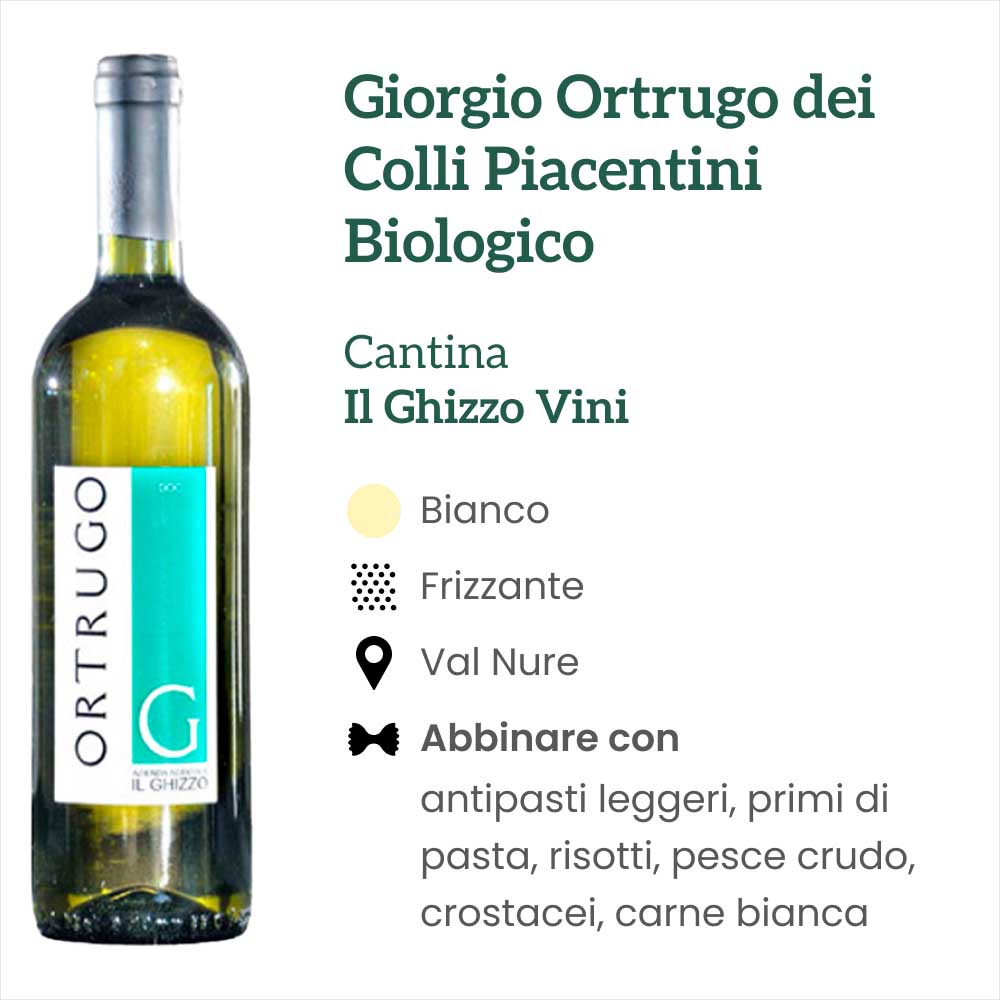 “Giorgio” Ortrugo – Il Ghizzo - immagine 3