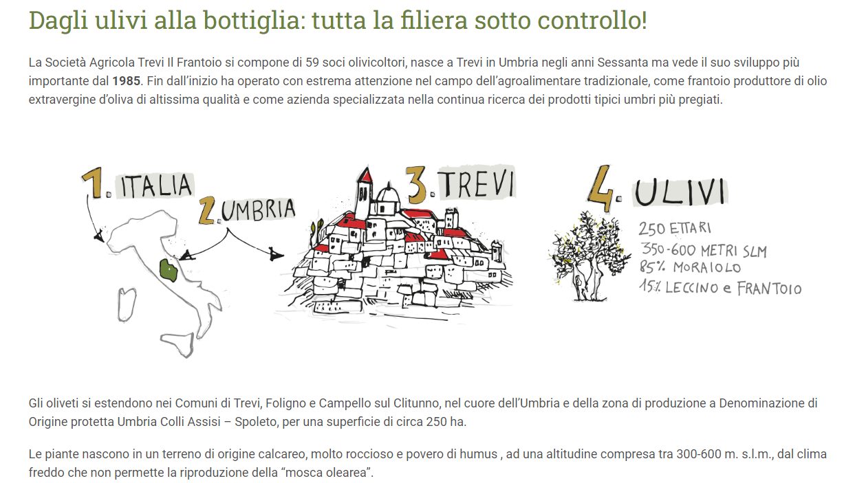 Olio Extravergine di Oliva Flaminio Fruttato - immagine 5